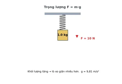 Ảnh động: khối lượng tăng thì lực kéo lò xo tăng theo F = m·g